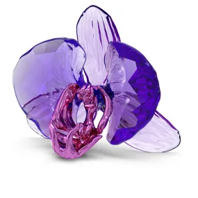 Idyllia SCS Orchid Petal