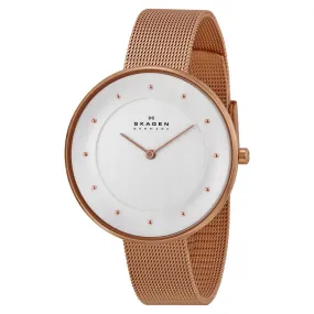 Skagen Gitte Silver Dial Rose Gold-tone Ladies Watch SKW2142